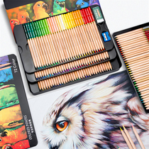Hero 777 Oily color lead 24 colors 48 colors 72 colors color pencil Art professional master coloring painting pen