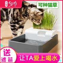 Pet cat water dispenser Cat grass hydroponic dual-use automatic circulating water dispenser Dog cat water purifier Feeding bowl