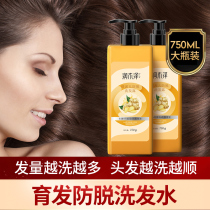 Ginger shampoo anti-hair hair hair and dandruff control oil fluffy denser male Lady special ginger shampoo cream Dew set