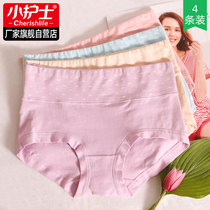 Little nurse 4-pack womens panties mid-waist large size underpants breathable cotton large size sexy briefs head woman