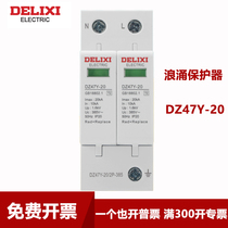 Delixi surge arrester arrester DZ47Y-20-40-60KA 2 3 n 4p Surge Protector