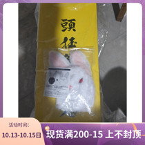 STS limited FR2 x T9G head crazy big rabbit has been signed spot