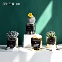 Nordic light luxury golden cactus fleshy simulation plant potted creative cactus bonsai home furnishings