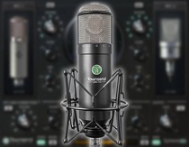 Townsend Sphere L22 professional recording simulation modeling microphone virtual condenser microphone DSP