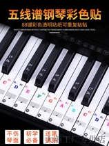 Electronic piano sticker 36 key color piano letter note sticker 88 61 hand roll piano keyboard transparent simple score