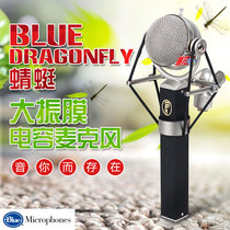 Blue Dragonfly Dragonfly Professional Big Zhenfilm Capacitive Microphone YY Anchor Computer Recording Microphone