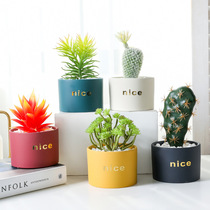 Nordic style flower pot simple photo shooting props background pendulum shooting ornaments items product scene still life photography