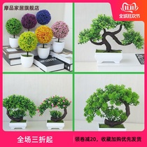 Simulation green plant wealth tree fruit tree living room floor large potted plastic fake flower bonsai