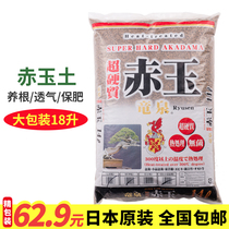 Japan imported Longquan red jade earth two main line red jade whole bag large bag succulents paving bonsai particles original