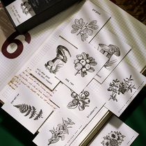 Language Leisure special paper embossed micro-stereo hand account sticker retro plant hand account black and white material decorative stickers