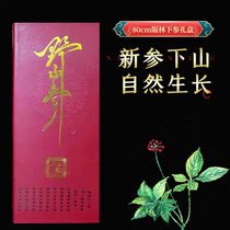 Raw sun forest Next to 80cm pages National inspection certificate Northeastern special production Changbai Mountain ginseng to sunburn the Huanren Mountain Participation