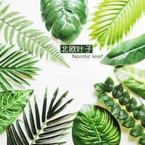 ins Turtle Back Leaves False Leaves Green Size Plastic Scatter Leaves Creative Kindergarten Ring Decoration