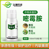 Germany Bayer Schjalet pyrimethanil grape cucumber tomato gray mold disease early blight pesticide fungicide 100ml