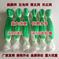 Type of melon bean corner hanging melon Melon Melon melon Cucumber Thyme thyme Private Network Plant Climbing Vine netting Climbing Agriculture