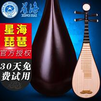 Xinghai musical instrument Rosewood 8912-1 Pipa sandalwood performance universal adult children beginner practice mahogany PIPA