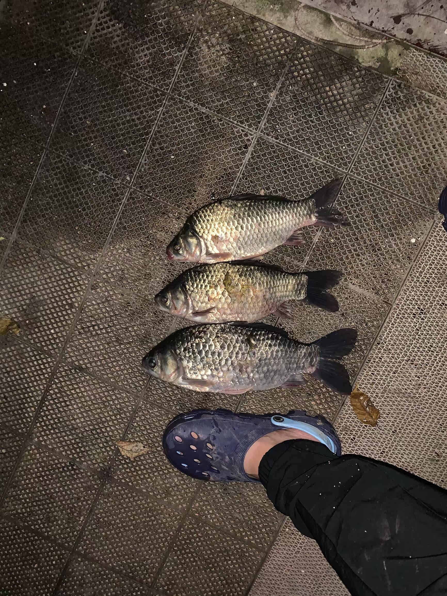 Фото отзыва