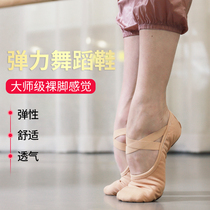 Lace-free full stretch dance shoes womens soft-soled practice shoes four-sided ballet shoes body yoga cat claw shoes
