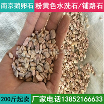 Nanjing natural yellow washed stone gravel stone Japanese-style pebbles rain stone courtyard outdoor paving small stone