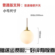 Nordic Restaurant Chandelier Minimalist Modern Personality Creative Bedroom Bedhead Pendant Light Lavish Clothing Shop Single Head Round Spherical Light