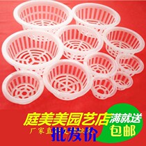 Flower glass White fixed vase special cultivation blue plastic basket hydroponic plant round flower pot planting basket