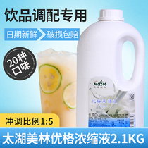 taihu milim yogurt milk bacteria more lactic acid more you lao more milk tea shop dedicated plain yogurt milk 2 1kg