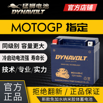  Lion motorcycle battery Harley 883 x48 big gliding Guangyang rowing 250 BMW Waterbird 1200gs battery