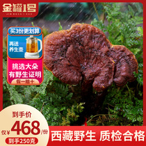 Tibet wild Ganoderma lucidum authentic Linzhi specialty 250g red purple Ganoderma lucidum Ganoderma lucidum tea dry goods can be sliced