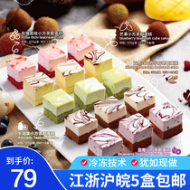 John Danny mango blueberry small square tea break cake Cafe dessert hotel banquet buffet 670g56 slices