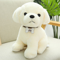 Emulation Dog Paparazzi Teddy Dog Doll Cute Children Plush Toy Cute Boy Gift Cloth Doll Super Cute