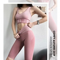 Spring and summer sports suit female dry running fitness strength sports underwear five-shirt high-waist yoga suit