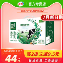 Yili Jindian pure milk whole box batch special price 12 boxes of 250ml Childrens breakfast milk flagship store official