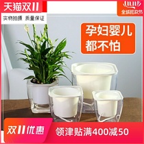 Soil and water separation flowerpot self-priming water type watering-free lazy artifact green diassopia hydroponic water storage basin layered size thickened