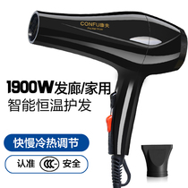 Kang Fu hair dryer KF5873 home high power hot and cold wind hair dryer hair salon Barber shop mute hair dryer