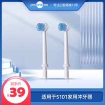 prooral Bohao dental irrigator toothbrush head nozzle model 5910 accessories 2 sets