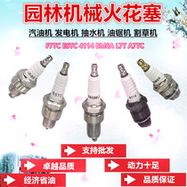 Gasoline generator micro - farming machine spark plug 152F 154F 170F pumping pump oil saw mower common