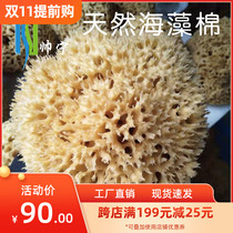 Shuai Ning natural old seaweed cotton roller sticky flower relief three-color Magic Greek seaweed cotton art coating tool