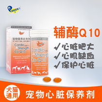 Angel Coenzyme Q10 Cats and Dogs improve heart cardiovascular myocardial fertilizer elderly dogs and cats heart health care