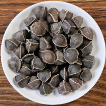 Moringa seeds natural edible Moringa seeds large and bulk 1kg non-Indian imported wild 500g