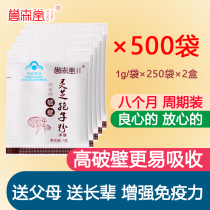 Changbai Mountain Wall-breaking Ganoderma Lucidum spore Powder improves immunity and enhances Nyingchi Powder Robe Powder Official flagship store
