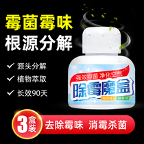 Go to mouldy Divine Instrumental Clothes Wardrobe della Smell Room Remove from Peculiar Smell Basement to damp car Moldy Taste God