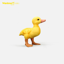 Wantmoin Playing Molesel Rhubarb Duck Small Duck Model Emulation Poultry Animal Toys Childrens Cognitive Toys