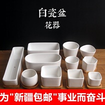 Xinjiang Succulent pot ceramic pot small porcelain pot meat meat small flower pot white porcelain flower pot with bamboo bottom tray