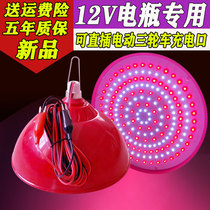 12V fresh lamp low pressure battery 48v night market stall 60V cooked stewed vegetable fruit pork lamp lighting red light