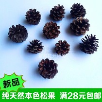 Kindergarten Adornment Forest Original Colors Pine Fruits Swing Piece Pendant Dry Flowers DIY Handmade Material Photography Props