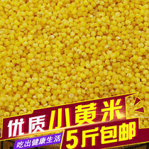 Inner Mongolia high quality small yellow rice millet porridge nutrition good 500g