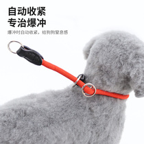 Dog Collar P Chain Explosion-proof Traction Rope Rush Competition Grade P Chain Golden Hair Medium and Large Dog Neck Ring Pet Supplies