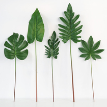 Nordic simulation plant silk flower artificial flower tropical green planting turtle back leaf leaf simulation flower living room background wall decorative flower