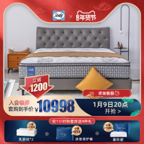 Sealy silk leather bed frame Star language bedroom double bed frame 1 8m1 5M simple modern