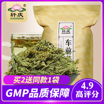 2 send 1 Xuanqing car front grass tea traditional Chinese medicine shop pure wheel grass fresh plant grass dry non wild xq