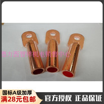 Original dress Phoenix National Pets A grade copper nose DT-150mm2 squared blocked oil type line nose pure copper connector wiring terminal